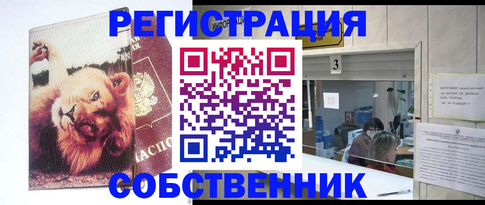 прописка поиск в Химках